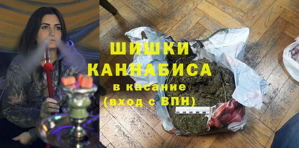 индика Балабаново