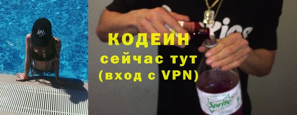 индика Балабаново