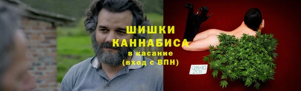 индика Балабаново