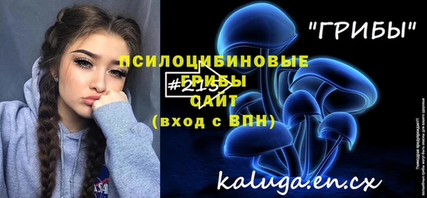 амф Арсеньев