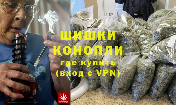 индика Балабаново