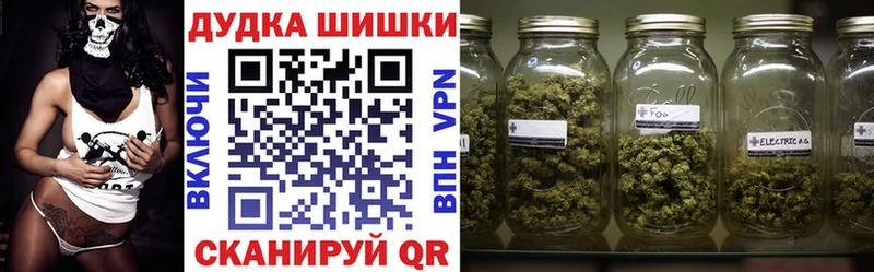 купить закладку  ОМГ ОМГ онион  Марихуана сатива  Шагонар 